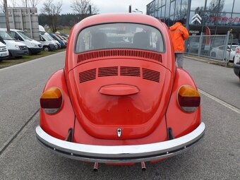 Volkswagen Brouk - 9