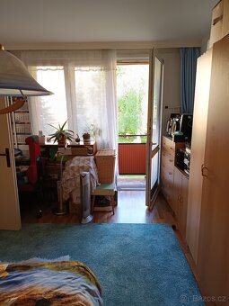 Prodej bytu 1+1 Č. Budějovice - 9