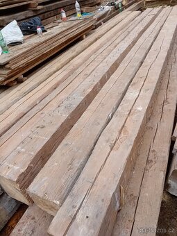 Staré trámy možnost i kompletní demolice - 9