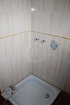 PRODEJ PROSTORNÉHO BYTU 3+1, JERONÝMOVA, ČESKÉ BUDĚJOVICE - 9