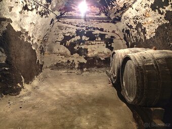 Pronájem, vinný sklep s lisovnou, Nový Šaldorf - 9