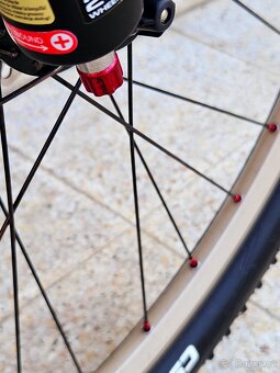 #37 Carbon Author Master XC, pro 160-175cm - 9