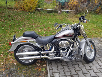 Harley-Davidson Fat Boy FLSTF - 9