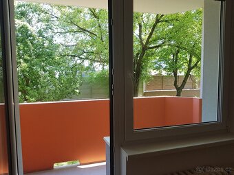Pronajmu byt 1+1 ve Veselí nad Moravou - 9