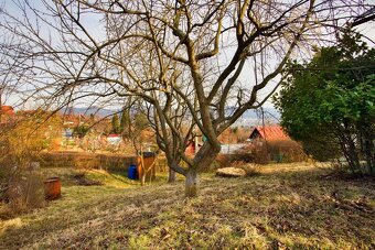 Prodej, zahrada 558m2, chata 14m2, Děčín - VI Letná - 9