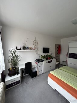 Pronájem zděného bytu 2+1 v OV, Svitavy - 9