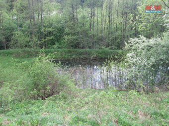 Prodej pozemku, 65564 m², Kájov - 9