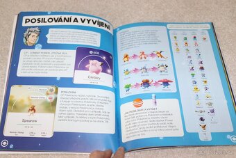 500 puzzle a Hráčova příručka Pokémon, Pikachu - 9