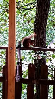 Stavební pozemek s RD, Teplice v Cechach - 9