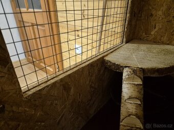 Klec pro činčily, osmáky (hlodavce) - 9