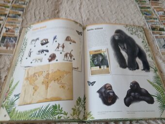 Mluvení se zvířátky - strojek + album + kompletní kartičky - 9