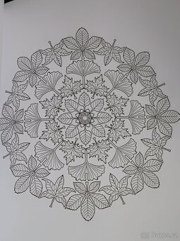 Omalovánky 50 Autumn Mandalas - 9