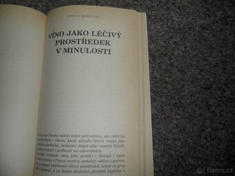 bylinky, léčivé rostliny, alergie, víno jako medicína, ovoce - 9
