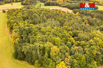 Prodej lesa, 39171 m², Ježovy - 9