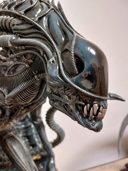 Alien Warrior Prime 1 Studio - 9