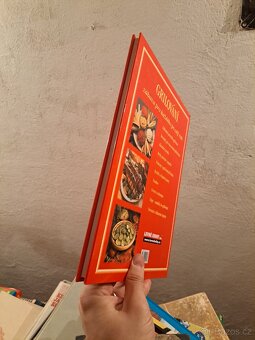 Kuchařka - Grilujeme doma i v přírodě - - 9