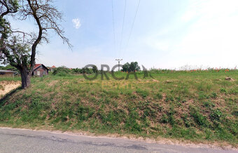 Prodej pozemku v k.ú. Tavíkovice (okres Znojmo) o výměře 195 - 9
