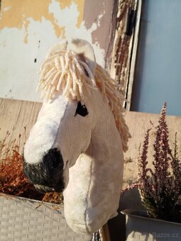 Hobby horse - 9