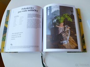 Pokojovky a jak se o ně starat - 9