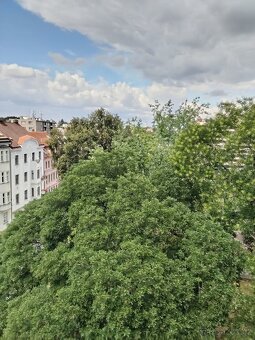 1+1, 42 m2, Praha 6, odstupné 409.000 Kč - 9
