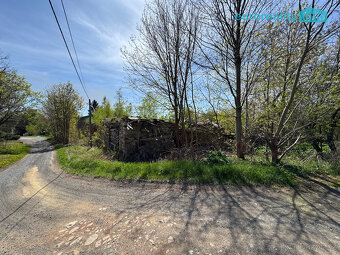 Prodej, stavebního pozemku 5919 m2, Mariánské Lázně - 9