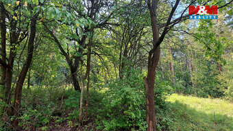 Prodej pozemku k rekreaci, 10875 m², Úštěk - 9