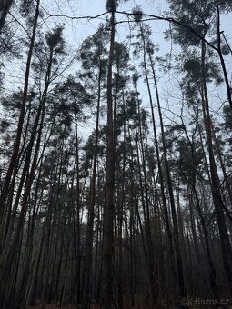 Prodám pozemky v k.ú. Břehy - 9