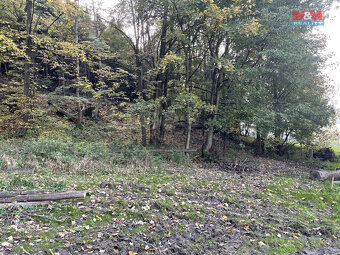 Prodej lesa, 164.841 m², Palkovice, okr. Frýdek Místek - 9