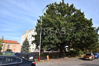 Mladá Boleslav, pronájem bytu 2+1, 53 m2, okr. Mladá Bolesla - 9