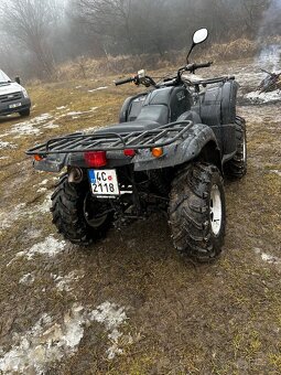 650 Campell Bashan 250 - 9