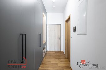 Pronájem, byty/1+kk, 31 m2, Železná 3061/12, Jižní Předměstí - 9