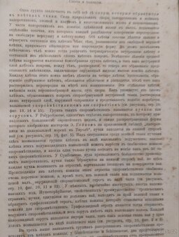 Život rostlin - 9