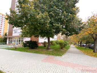 Prodej bytu 1+kk 24 m2 Jabloňová, Praha - Záběhlice - 9