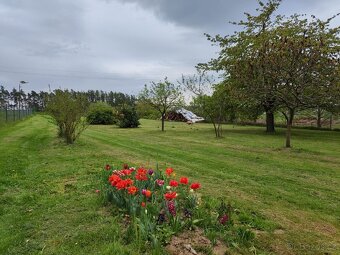 Pronájem chaty - 9