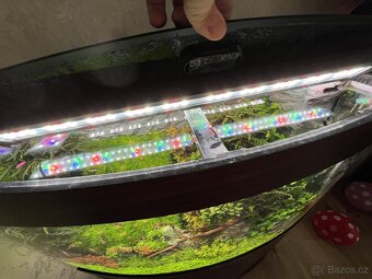 Prodám komplet Juwel Vision 180l. - 9