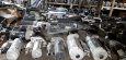startér vw passat audi a6 c5 audi a4 2,5 tdi - 9