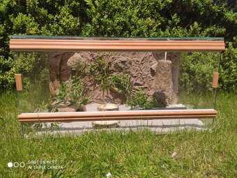 suchozemská želva zelenavá a vroubená, terárium - 9