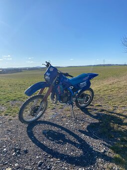 Kawasaki kdx 125r - 9