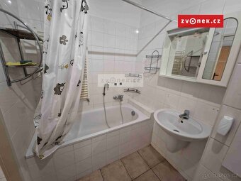Pronájem bytu 1+kk ve Štěpnicích. - 9