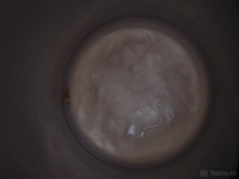 SECESNÍ HRNEK S PRŮSVITKOU - 9