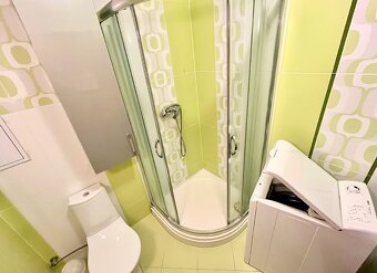 Pronájem bytu 6+ kk 110 m² - 9
