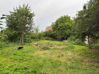 Dům ke kompletní rekonstrukci, pozemek 1704m - 9