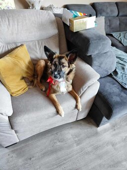 Mia hledá nový domov - 9