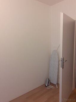 Prostorný a krásný byt ve Vysočanech - 9