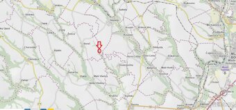 Prodej lesního pozemku k.ú. Boreč - 9