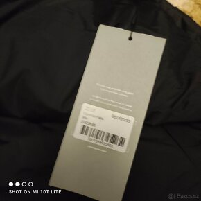 Canada goose - 9