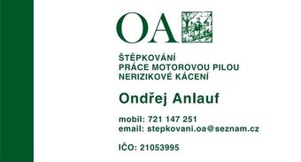 Dekorační dřevní štěpka - 9