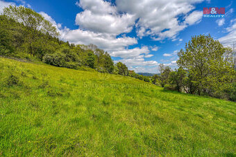 Prodej pozemku k bydlení, 10400 m², Sušice - 9