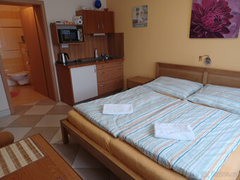 Prodej RD (penzionu) Bulhary - 9