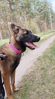 FREYA K ADOPCI - dokonalá parťačka - 9